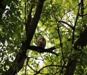 FortSnelling 2014 05 24 001
